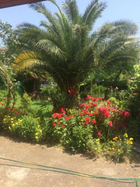 Guesthouse Mira
